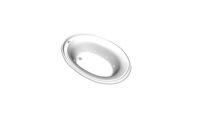 Bathtub Whirlpool 007