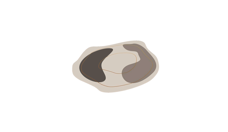 Carpet 007