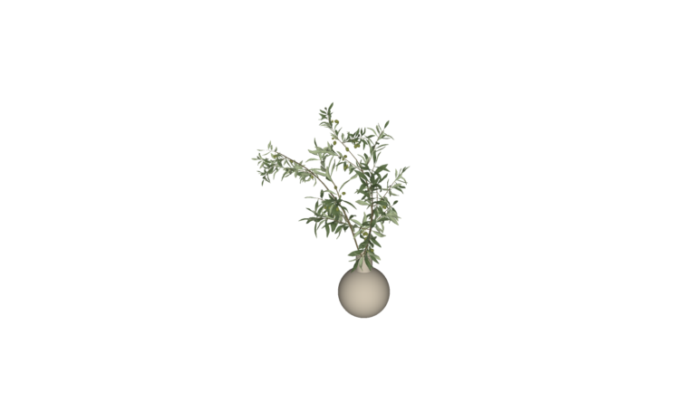 Decoration - Plant 002