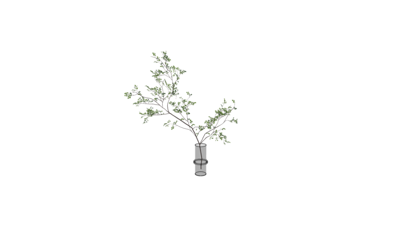 Decoration - Plant 003
