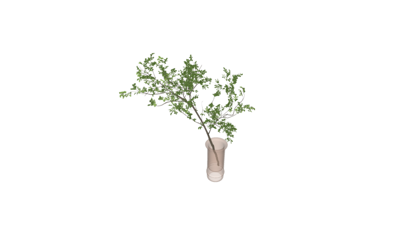 Decoration - Plant 004