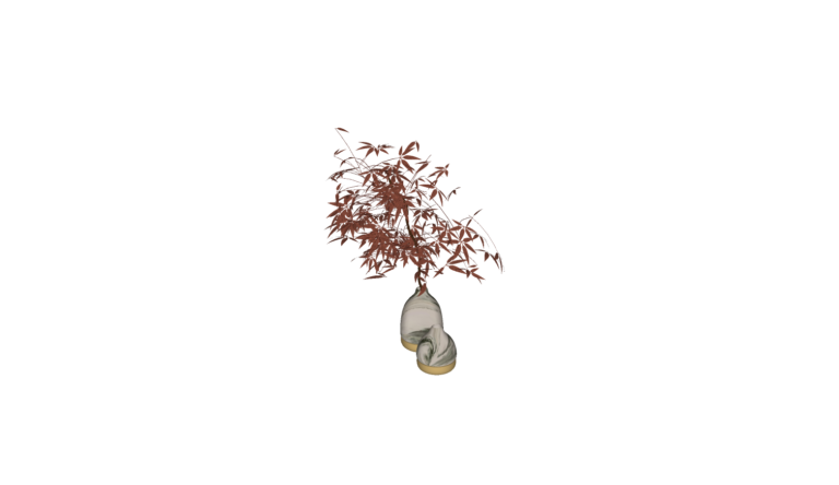 Decoration - Plant 005