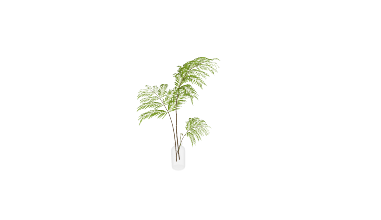 Decoration - Plant 006