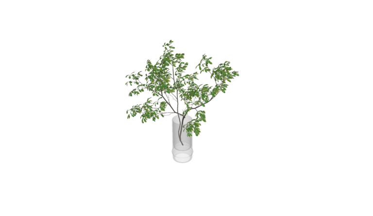 Decoration - Plant 007