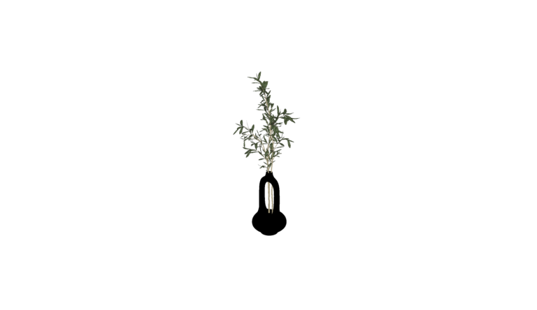Decoration - Plant 009
