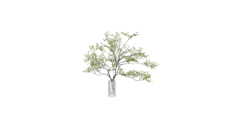 Decoration - Plant 010