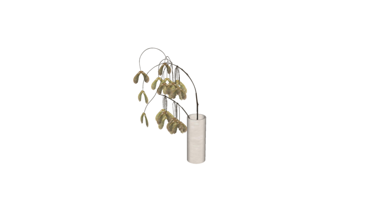Decoration - Plant 012