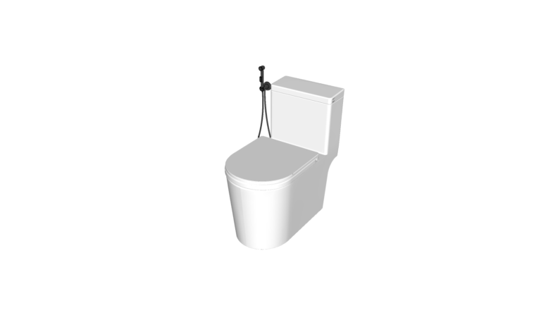 Toilet 001